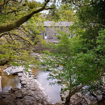 Jay Bee * Sedbergh